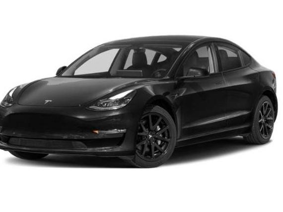 TESLA MODEL 3 2023 5YJ3E1EA5PF561280 image
